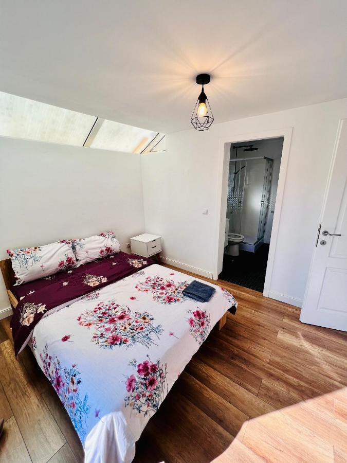 Master Adventure Guest House Vadu Crisului Zewnętrze zdjęcie