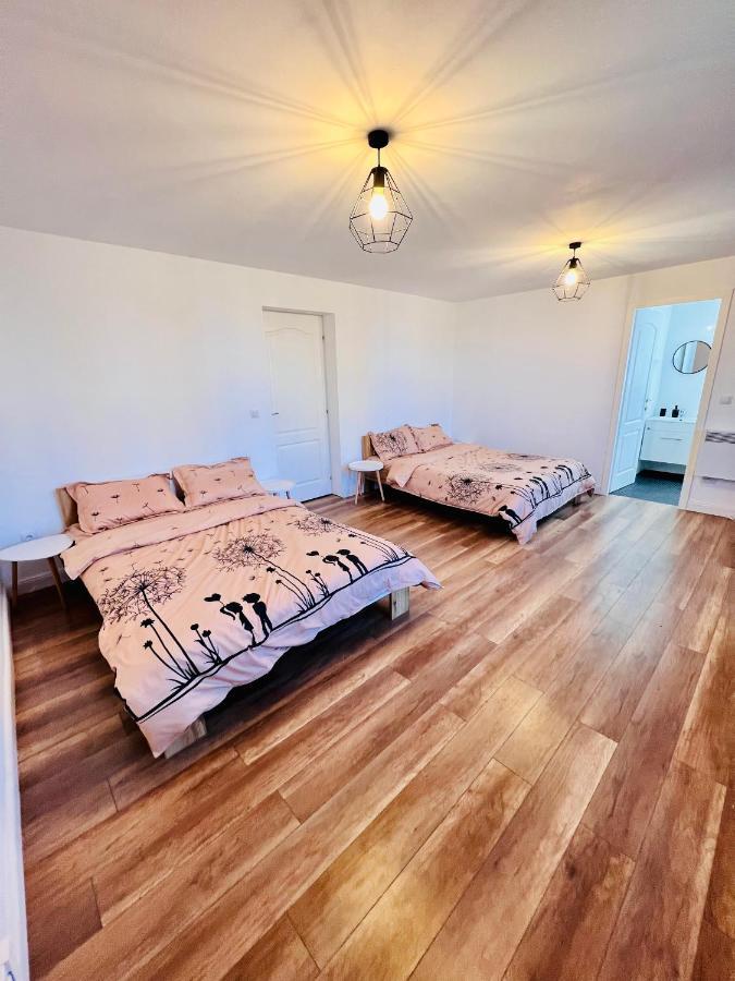 Master Adventure Guest House Vadu Crisului Zewnętrze zdjęcie